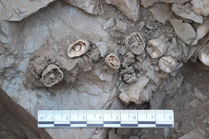 Restos del niño hallados en el dolme de Santa Inés.