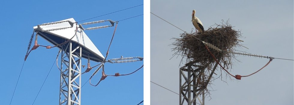 Endesa instala un prototipo para evitar los nidos de cigüeñas en diez torres eléctricas de Lleida