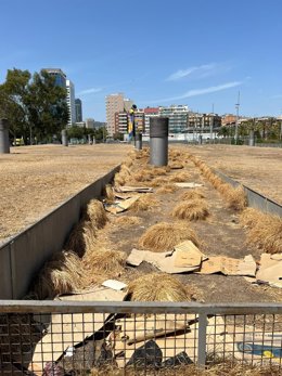 El parque de Joan Miró de Barcelona.