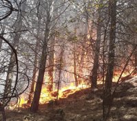 El Infoca actúa por aire y tierra contra un fuego forestal declarado en Dúrcal (Granada)