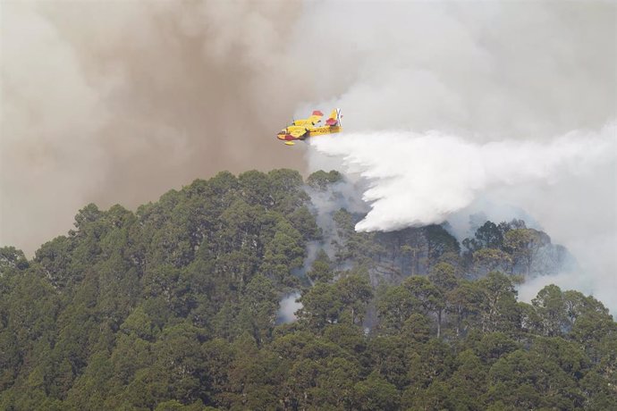 Un hidroavión lanza agua sobre el incendio forestal, a 17 de agosto de 2023, en La Orotava, Tenerife, Islas Canarias (España)