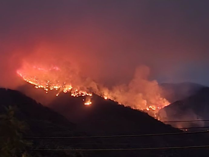 Archivo - Incendio en Sierra Bermeja, en Málaga