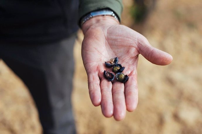 Control de maduración del vino de Rioja