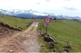 Pista forestal La Rioja