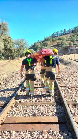 Los bomberos rescatan a una persona que se cayó por un barranco desde un puente de la Huelva-Zafra en Almonaster la Real.