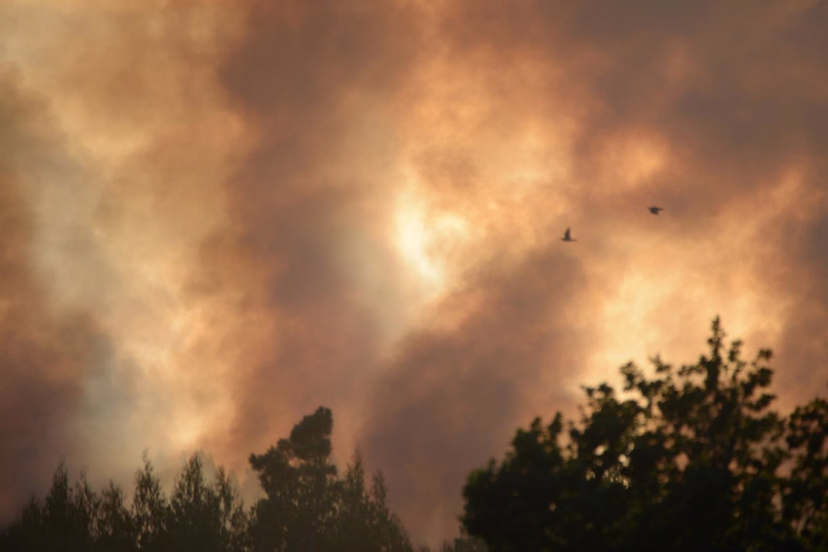 Seis Incendios Queman Más De 60 Hectáreas En Galicia Los De Palas Y