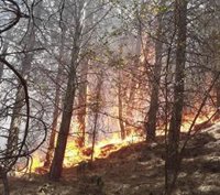 El Infoca da por estabilizado el incendio de Dúrcal (Granada)