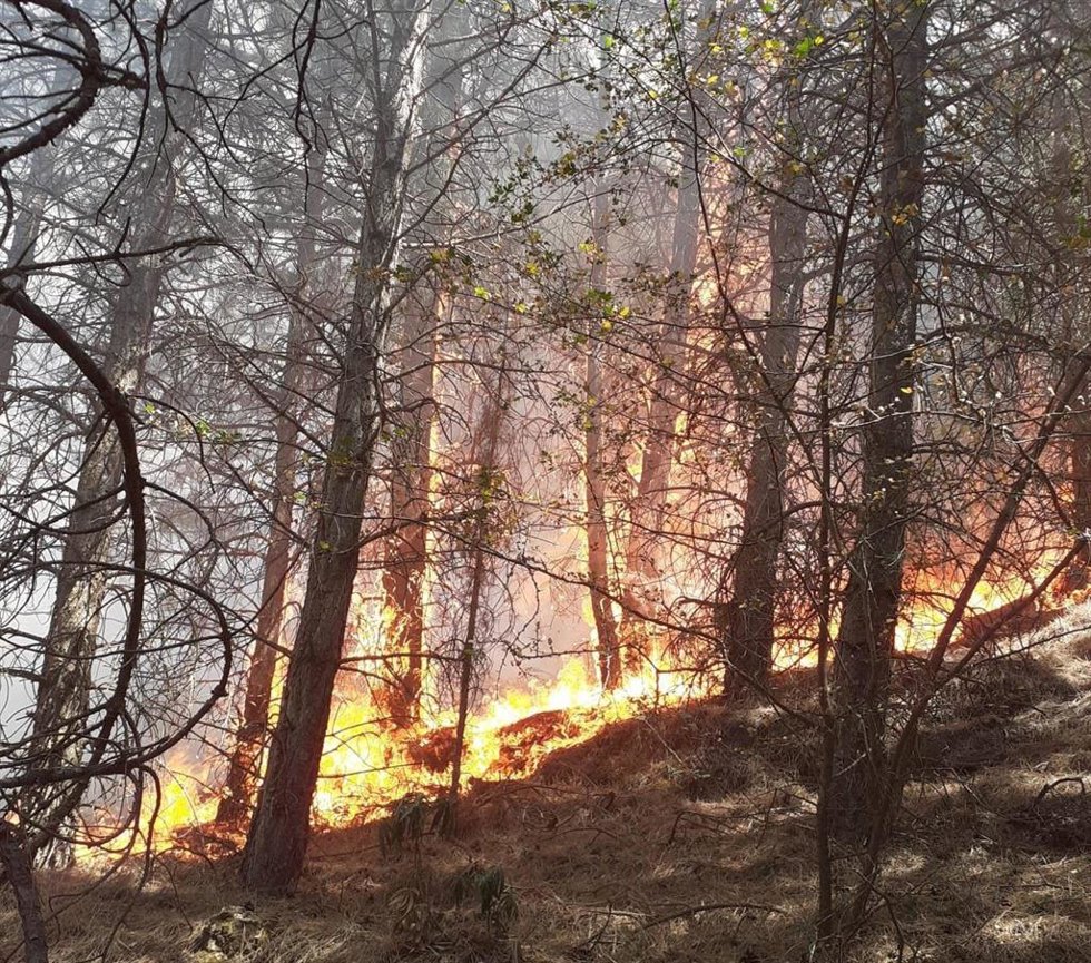 Incendio forestal en Dúrcal, en la tarde de este viernes