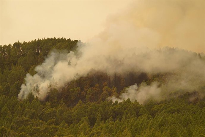 Columnas de humo del incendio forestal en las inmediaciones del municipio de El Rosario, a 17 de agosto de 2023, en Tenerife