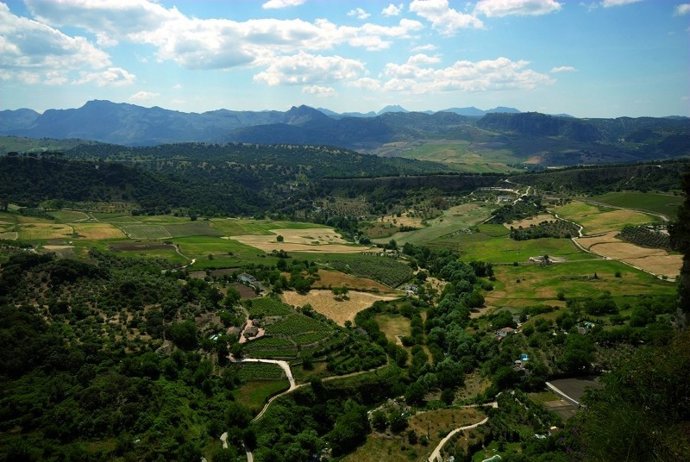 Vista de la Serranía de Ronda.