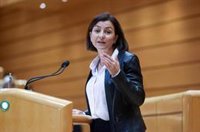 Granados (PSOE) recuerda a Rollán su "obligada neutralidad" tras sus críticas a Sánchez