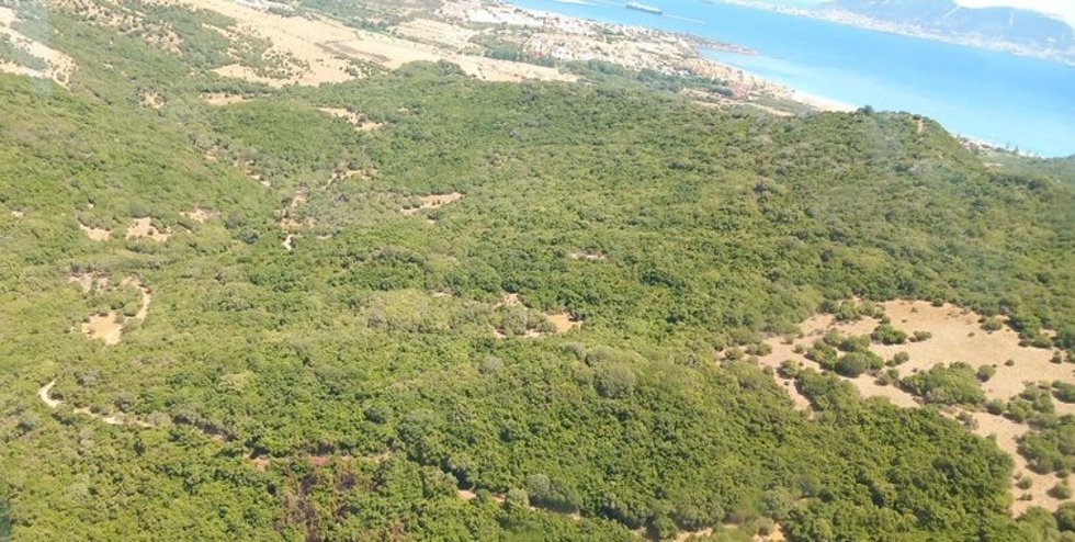Imagen aérea del paraje Marchenilla, donde se ha originado el incendio forestal, ya controlado.