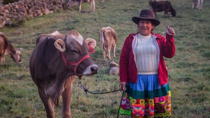 Una mujer cuida de su ganado en Perú, donde el 43,5 % de las mujeres rurales manifiesta no contar con ingresos propios, frente al 12,7 % de los hombres