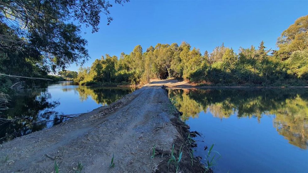 Situación del río Guadiaro aguas arriba del Puente de Hierro