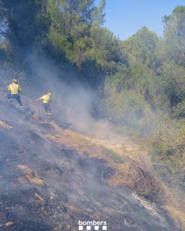 Bombers trabaja en un incendio de vegetación en Quart (Girona)