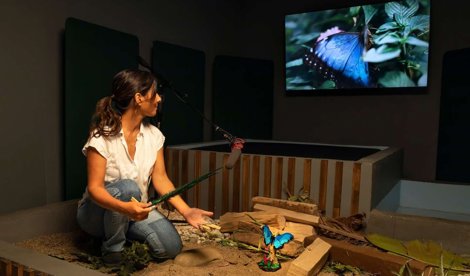 Comunicados Empresas