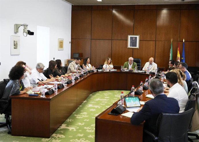 Imagen de este lunes de la reunión de la Diputación Permanente del Parlamento de Andalucía.