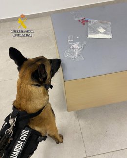 El perro del Servicio Cinológico de la Guardia Civil junto a las drogas incautadas.
