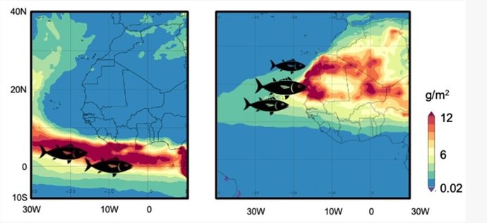 Ubicación de los caladeros de pesca del atún listado en invierno (izquierda) y en verano (derecha), situados en las zonas de mayores tasas de deposición de polvo desértico. Imagen extraída del estudio.