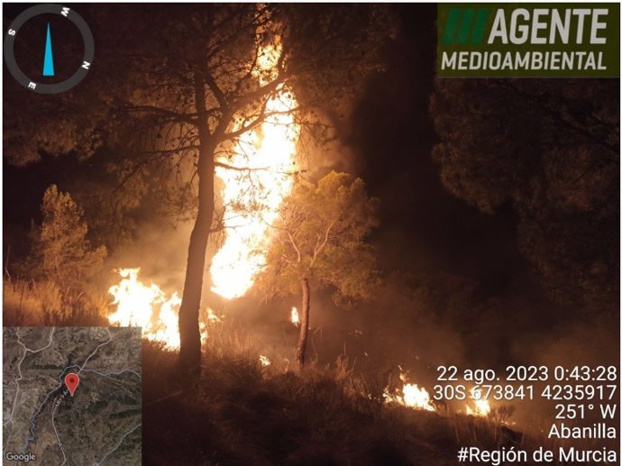 Arden 4.000 m2 de matorral y 20 pinos resultan afectados en un incendio en Macisvenda (Abanilla)
