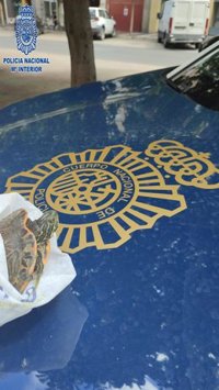 Identificado un hombre por abandonar una tortuga en la calle Eibar de Logroño