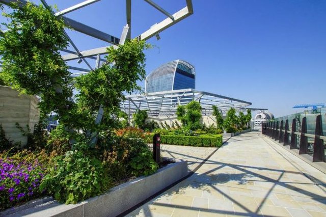 Los proyectos de ecologización urbana, como los jardines en las azoteas, tienen una variedad de beneficios para el bienestar y el medio ambiente.