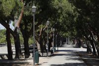 Casa de Campo, Pradolongo, El Capricho y Las Quintas, los mejores refugios climáticos naturales fuera de la M-30