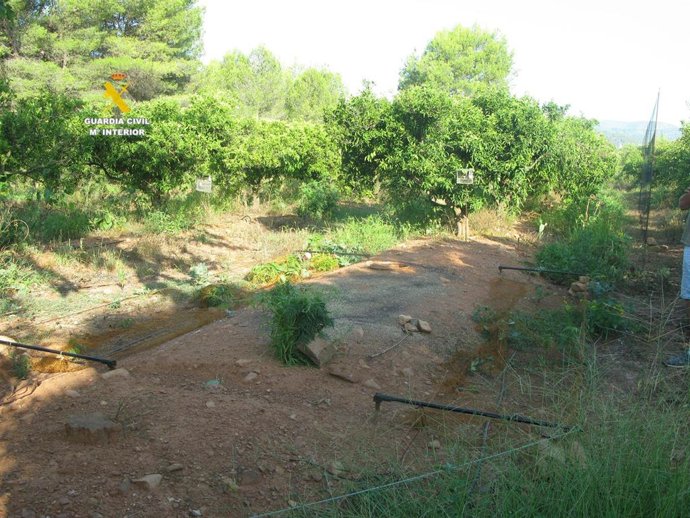 Zona donde fueron sorprendidos con los medios prohibidos