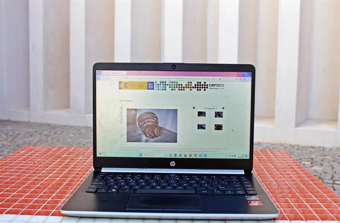 El Museo Helga de Alvear de Cáceres, primero de arte contemporáneo extremeño en incorporarse a la red digital