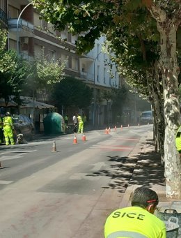 El PSOE califica de "prepotente y sin sentido" la eliminación del carril bici de Avd Portugal y estudia acciones legales