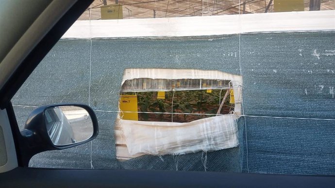 Brutón practicado por ladrones en una finca invernada de la provincia de Almería