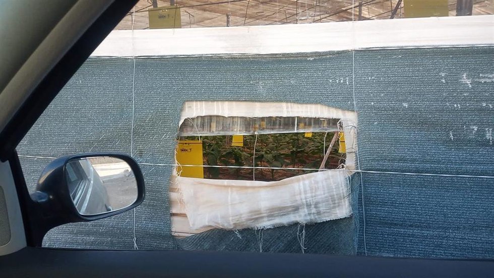 Brutón practicado por ladrones en una finca invernada de la provincia de Almería