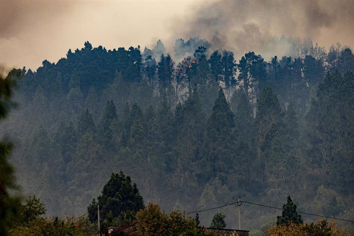 El incendio forestal, a 19 de agosto de 2023, en La Orotava, Tenerife, Islas Canarias (España). La situación del incendio forestal que comenzó en la noche del 15 de agosto en el monte de Arafo, en la isla de Tenerife, se ha complicado en la zona norte d