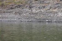 Los embalses andaluces siguen perdiendo agua una semana más y se sitúan al 21,11% de su capacidad