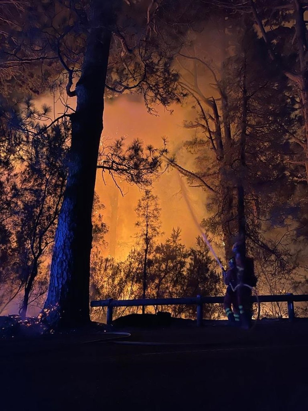 Efectivos de la UME trabajan en el incendio de Tenerife.