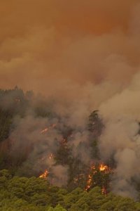 La calidad del aire en Tenerife se mantiene muy desfavorable, sobre todo en Los Realejos, La Orotava, Arafo y Candelaria