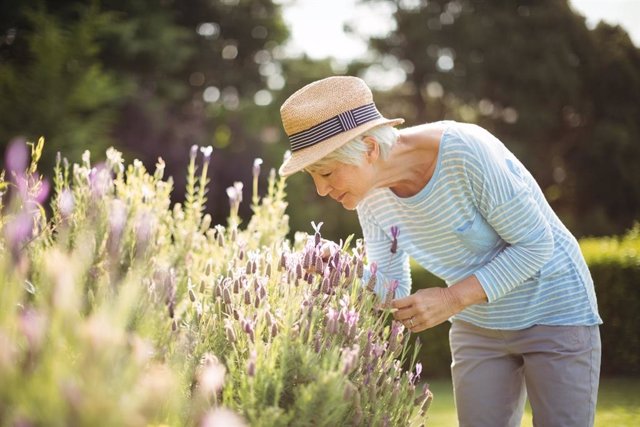 Archivo - Mujer mayor oliendo flores en el campo.