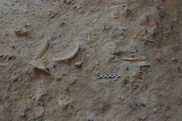 Han recuperat més de 1.000 restes d'un campament de tardor de poblacions neandertals