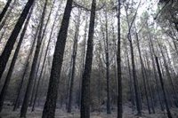 Defensor del Pueblo abre una investigación sobre la falta de agua en la cárcel de 'Tenerife II'