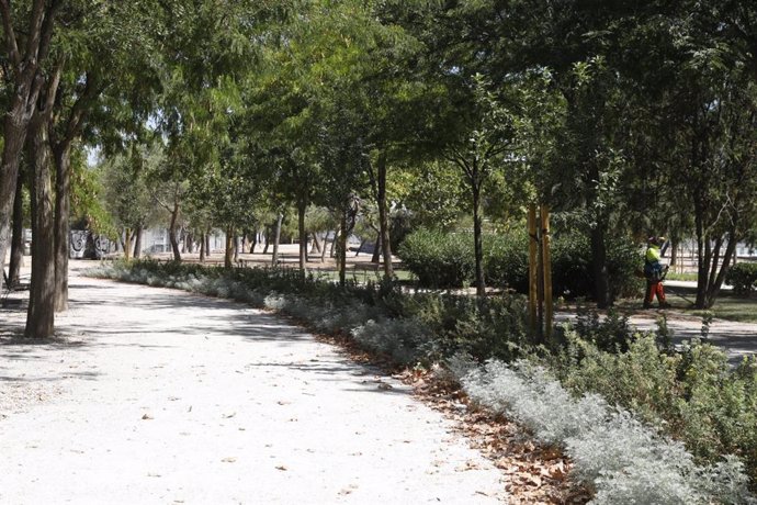 Finaliza la primera fase de la rehabilitación del parque de Las Cruces tras una inversión de 1,5 millones