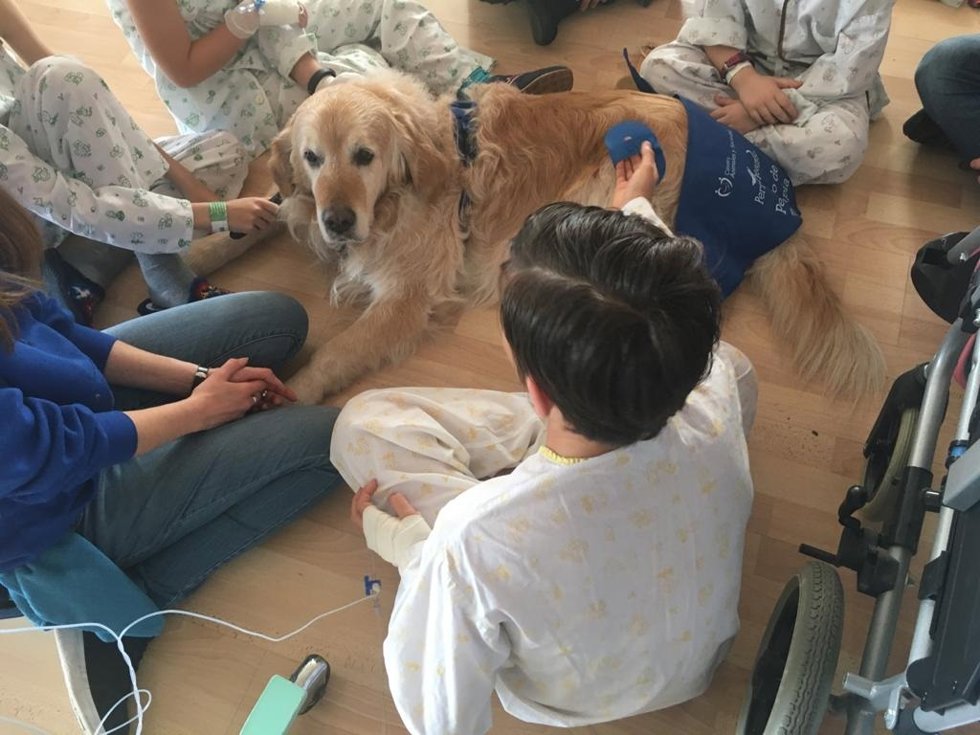 Los niños disfrutan de una sesión de terapia canina en el Hospital Reina Sofía.