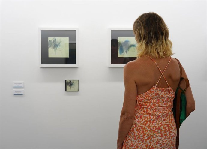 La Diputación de Valladolid inaugura la exposición 'Cromatismos en busca de la belleza', de Laura Juárez .