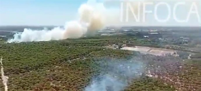 Incendio en paraje forestal de Bonares el pasado cinco de agosto.