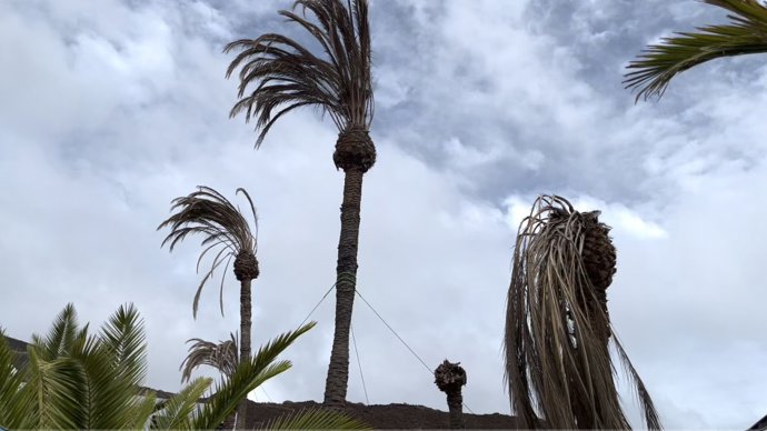 El PP critica la falta de acción en las "escasas" zonas verdes de la ciudad