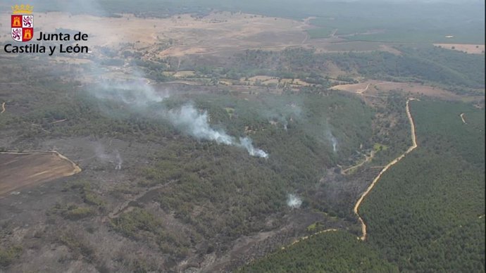 Imagen aérea del incendio forestal originado en las proximidades de la localidad de San Bartolomé de Rueda.