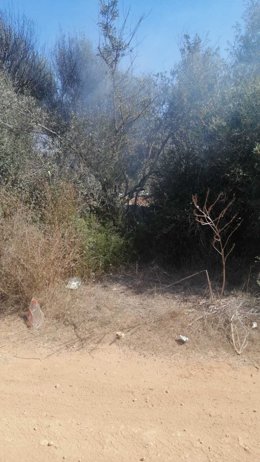 Incendio agrícola en Sant Josep de sa Talaia