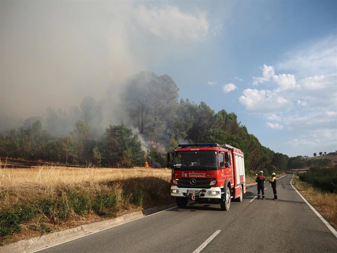 Efectivos de bomberos en las tareas de extinción del incendio forestal declarado este jueves en Artajona.