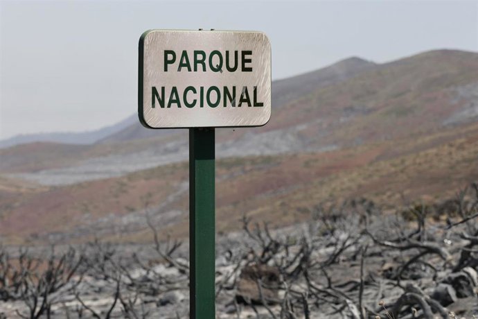Parque Nacional del Teide arrasado por las llamas en el incendio forestal de Tenerife