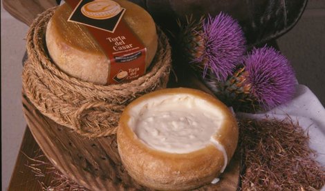 Comunicados Sociedad