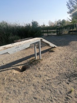 ZeC alerta del "lamentable" estado del espacio agility del Parque del Agua